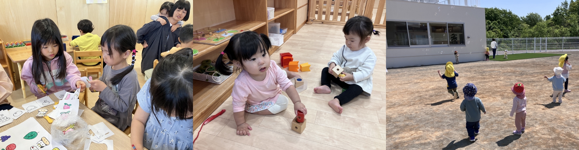 学びの特色