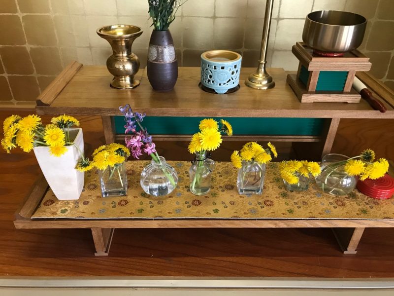 花まつりは中止でしたが…